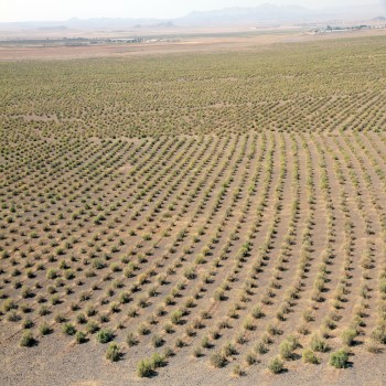 همدان / اسدآباد